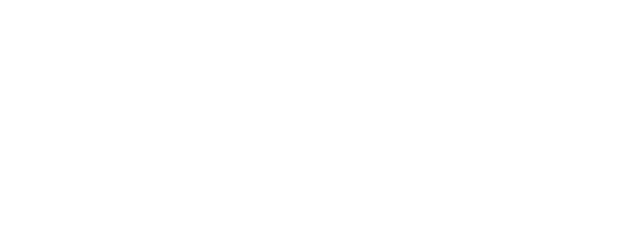 Pro-BS